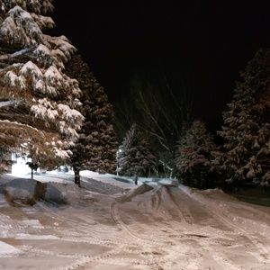 Meet your Posher, Tena